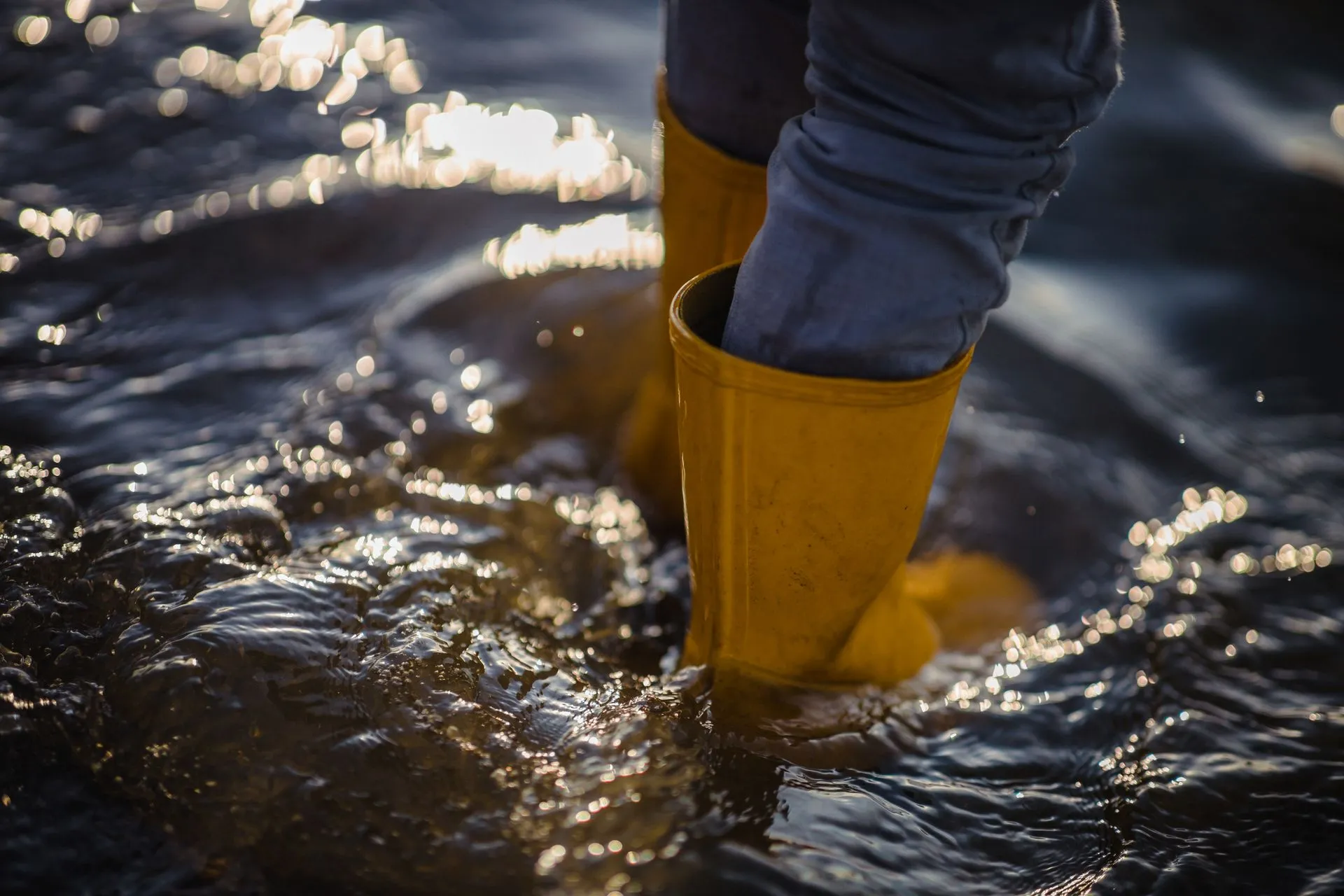Yellow rubber boots wading in dark water.